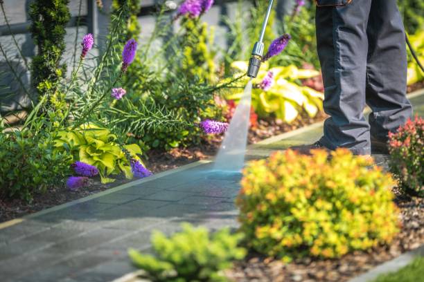 Best Driveway Pressure Washing  in Lake City, FL